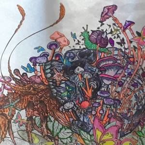 Meet your Posher, Malisa